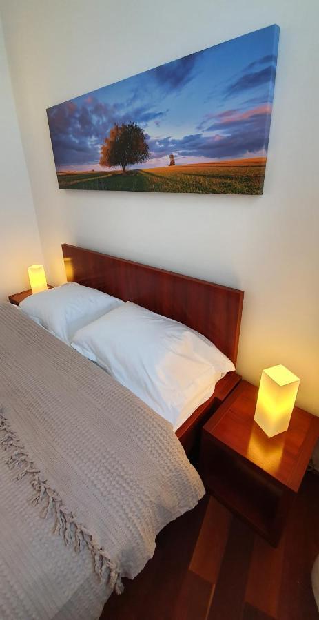 בוקרשט Sweet Dreams Suites Cismigiu Gardens מראה חיצוני תמונה